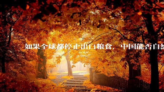 如果全球都停止出口粮食，中国能否自给自足？