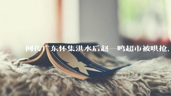 网传广东怀集洪水后赵一鸣超市被哄抢，县***回应相关单位正在核实，若属实哄抢者该承担哪些法律责任？