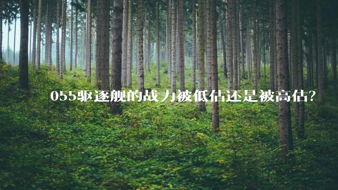 055驱逐舰的战力被低估还是被高估？