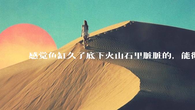 感觉鱼缸久了底下火山石里脏脏的，能彻底换水清理一遍不？