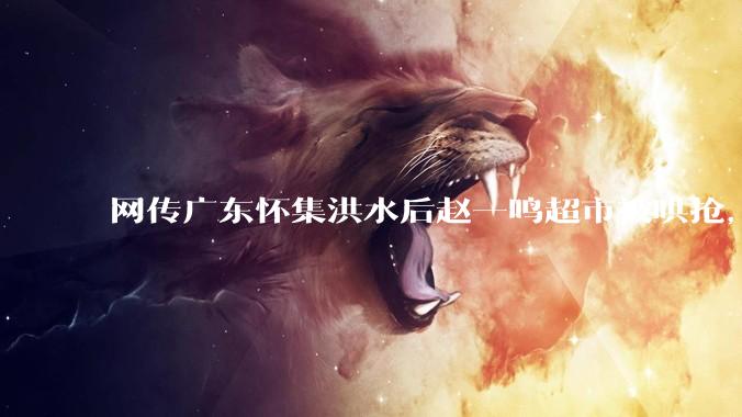 网传广东怀集洪水后赵一鸣超市被哄抢，县***回应相关单位正在核实，若属实哄抢者该承担哪些法律责任？