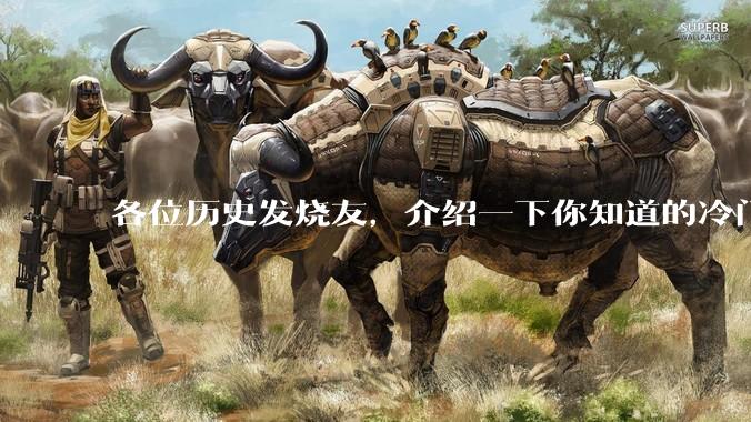 各位历史发烧友，介绍一下你知道的冷门史实或逆天史实？