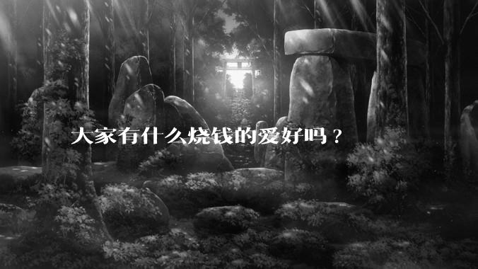 大家有什么烧钱的爱好吗?